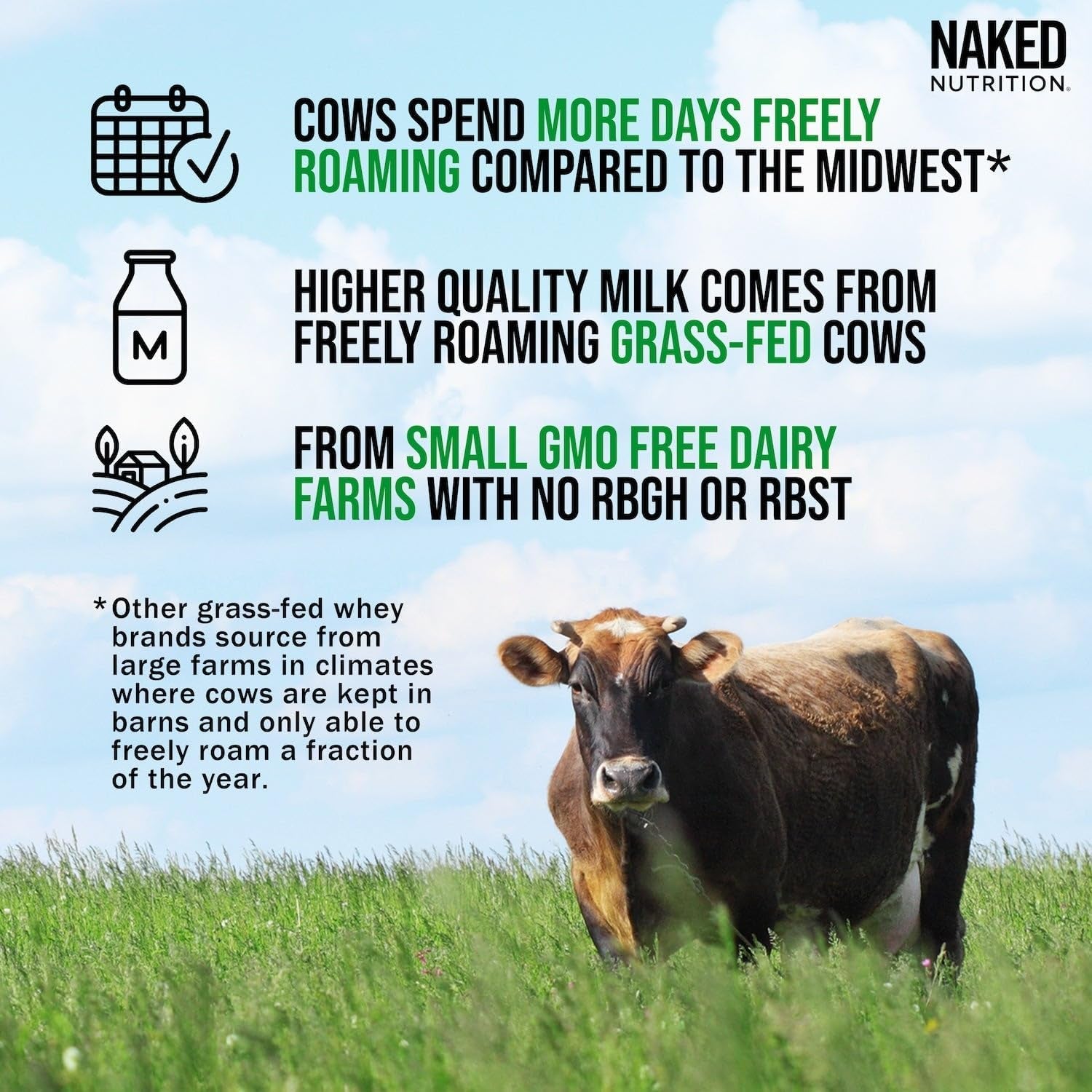 Naked Whey Chocolate Protein Powder - Only 3 Ingredients - Grass Fed Whey Protei